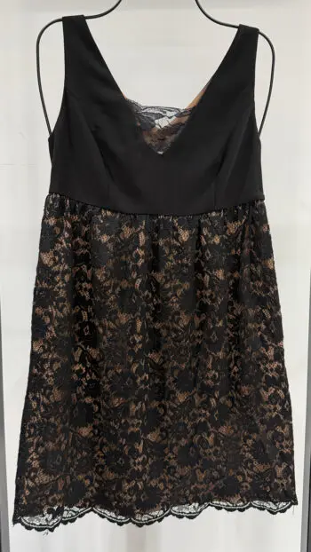 Lace Contrast Dress
