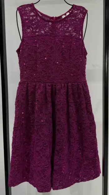 Berry Lace Dress